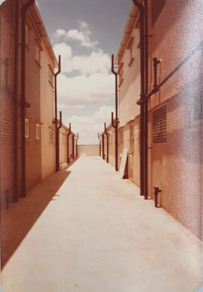 Caraíba (11)