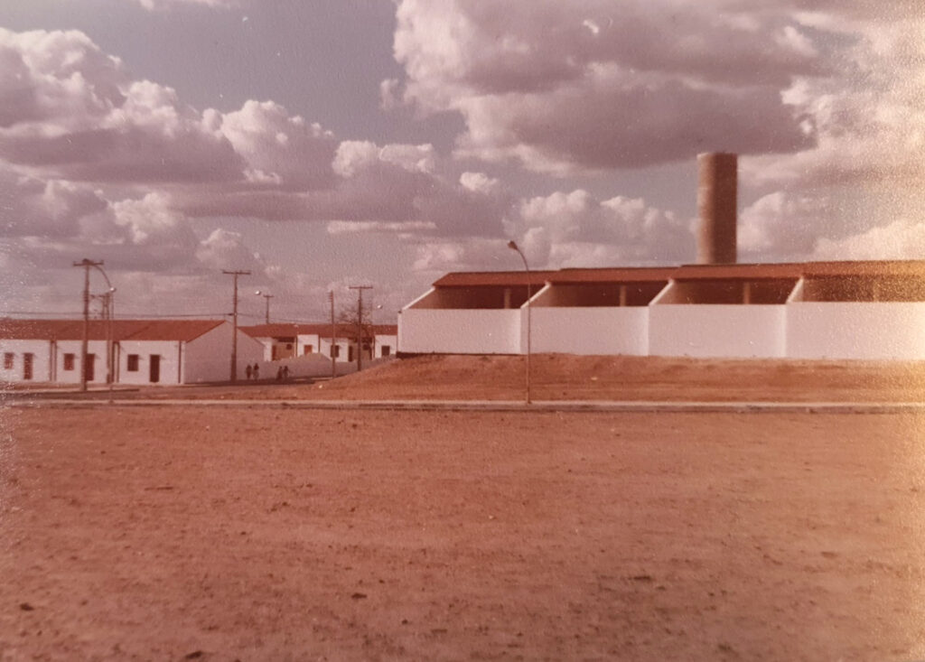 Caraíba (7)